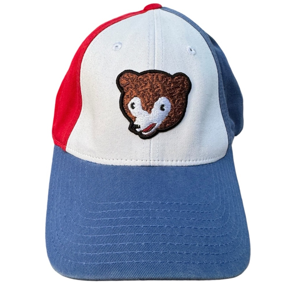 Vintage Chicago Cubs Authentic MLB Baseball American Needle Strapback Cap